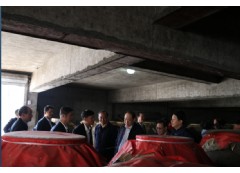 图片欣赏